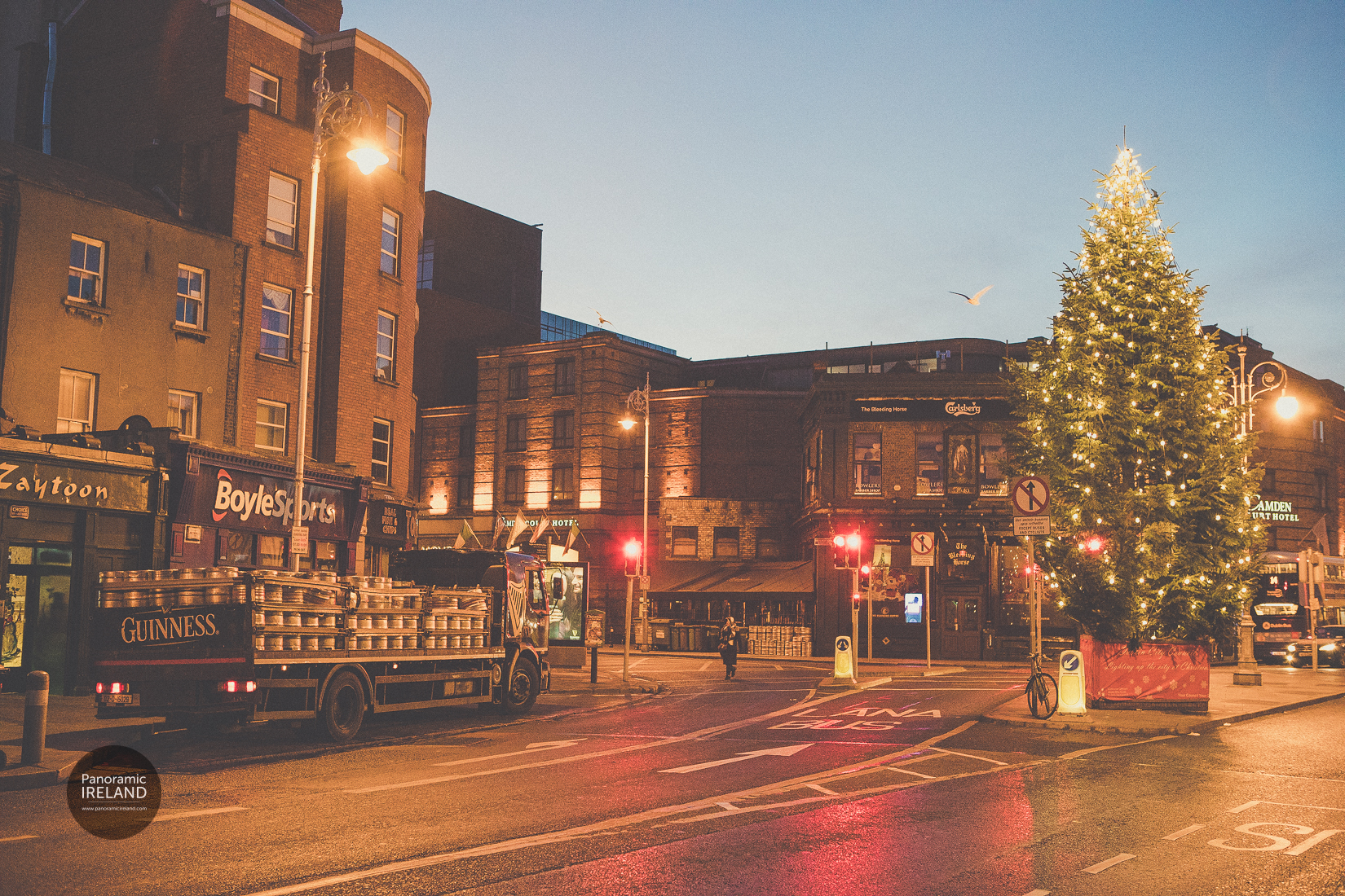 Camden Street Christmas Tree