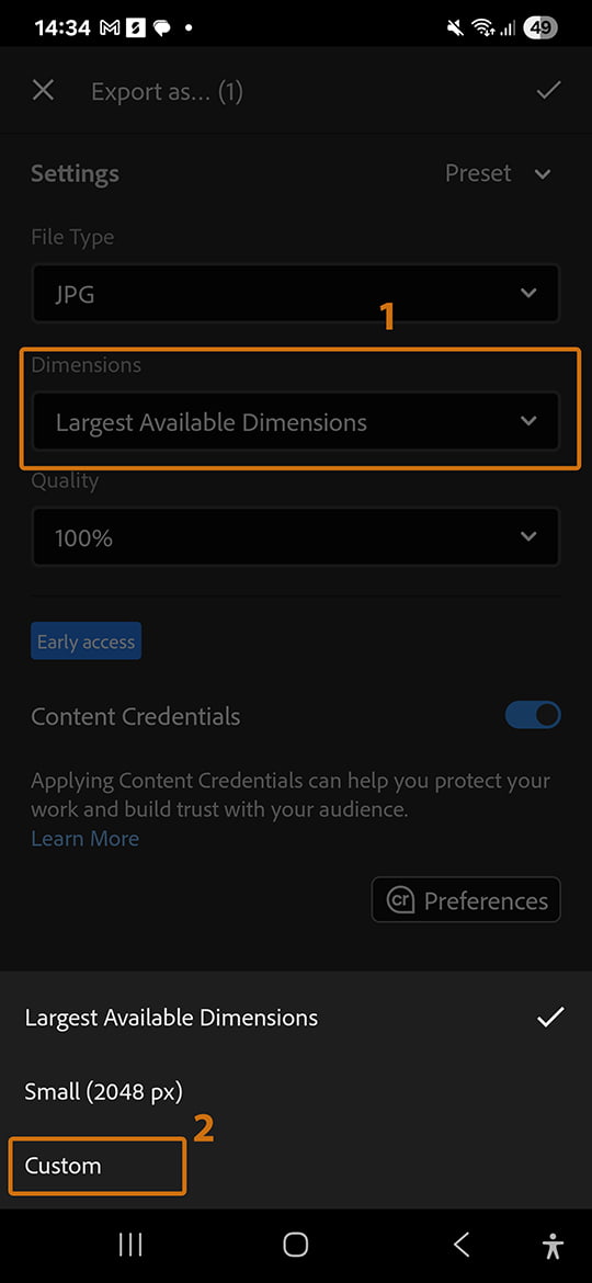 Export as option in Adobe Lightroom Mobile share menu