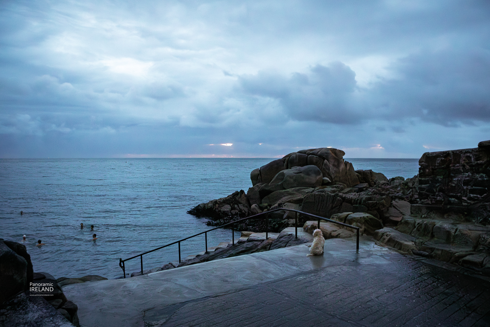 Christmas Morning Swim at Dublin's Forty Foot - Blue Hour sunrise in Winter