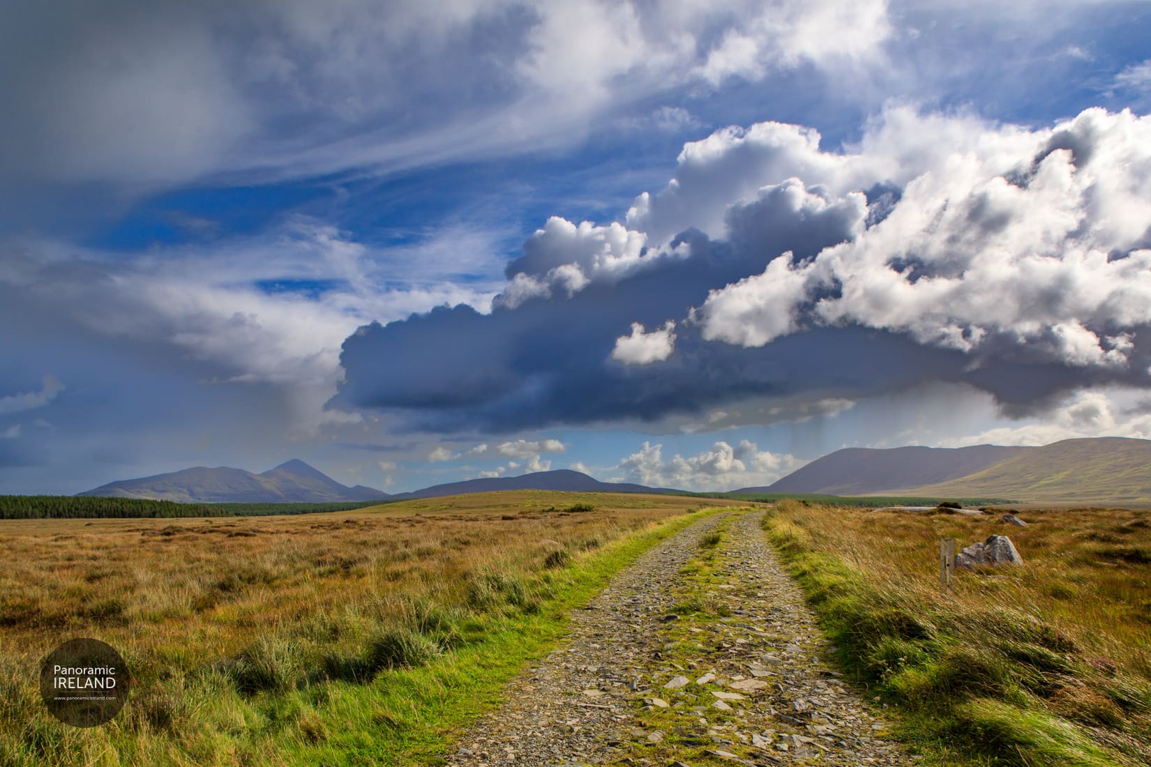 A lane stretches into a sunlit west of Ireland landscape with colourful grasses, in the distance are mountains under a stormy sky with blue, grey and white.
